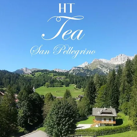 Tea San Pellegrino - Dolomiti Hotel Falcade