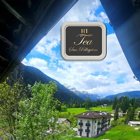 Tea San Pellegrino - Dolomiti Falcade